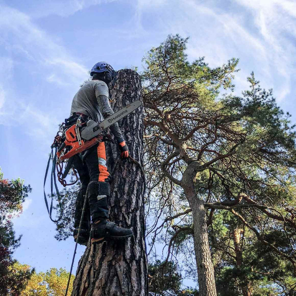 Husqvarna Profi Benzin Motorsäge 550 XP® Mark II (18")