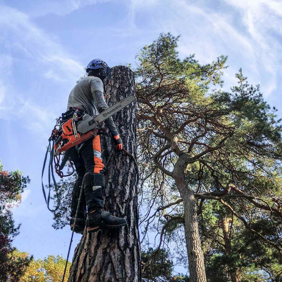 Husqvarna Profi Benzin Motorsäge 550 XP® Mark II (18")