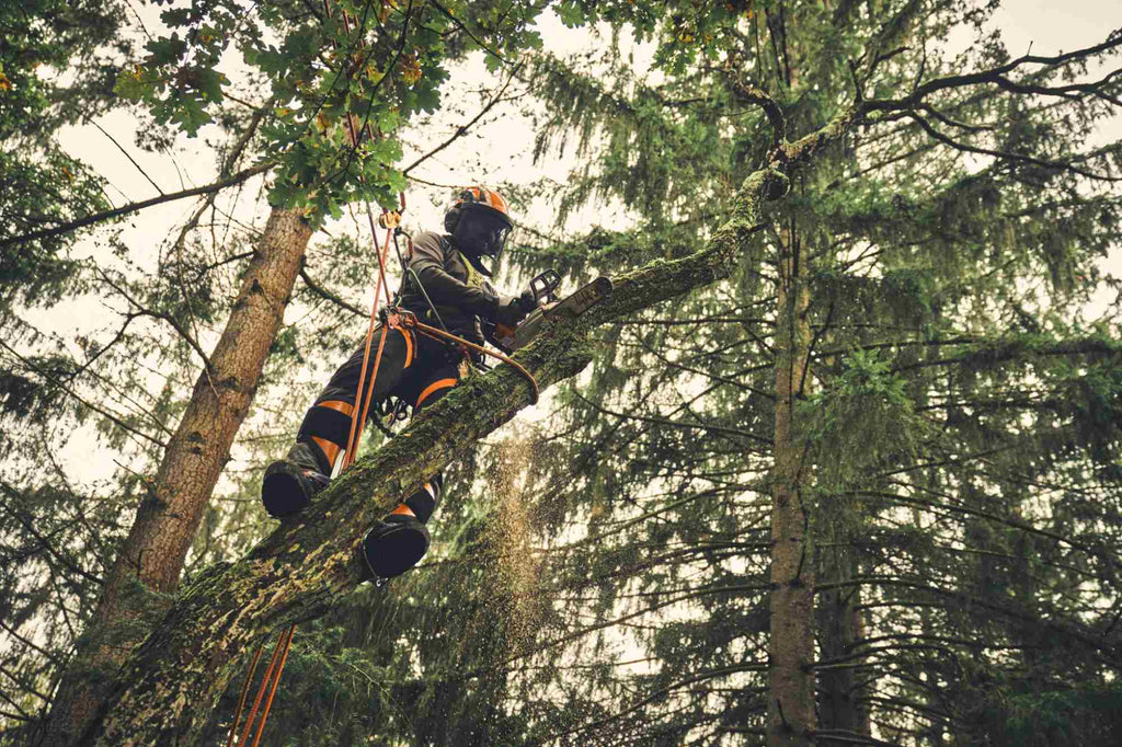 STIHL Akku-Baumpflegesäge MSA 220 T, 3/8", PS3 Pro, Schienenlänge 30 cm
