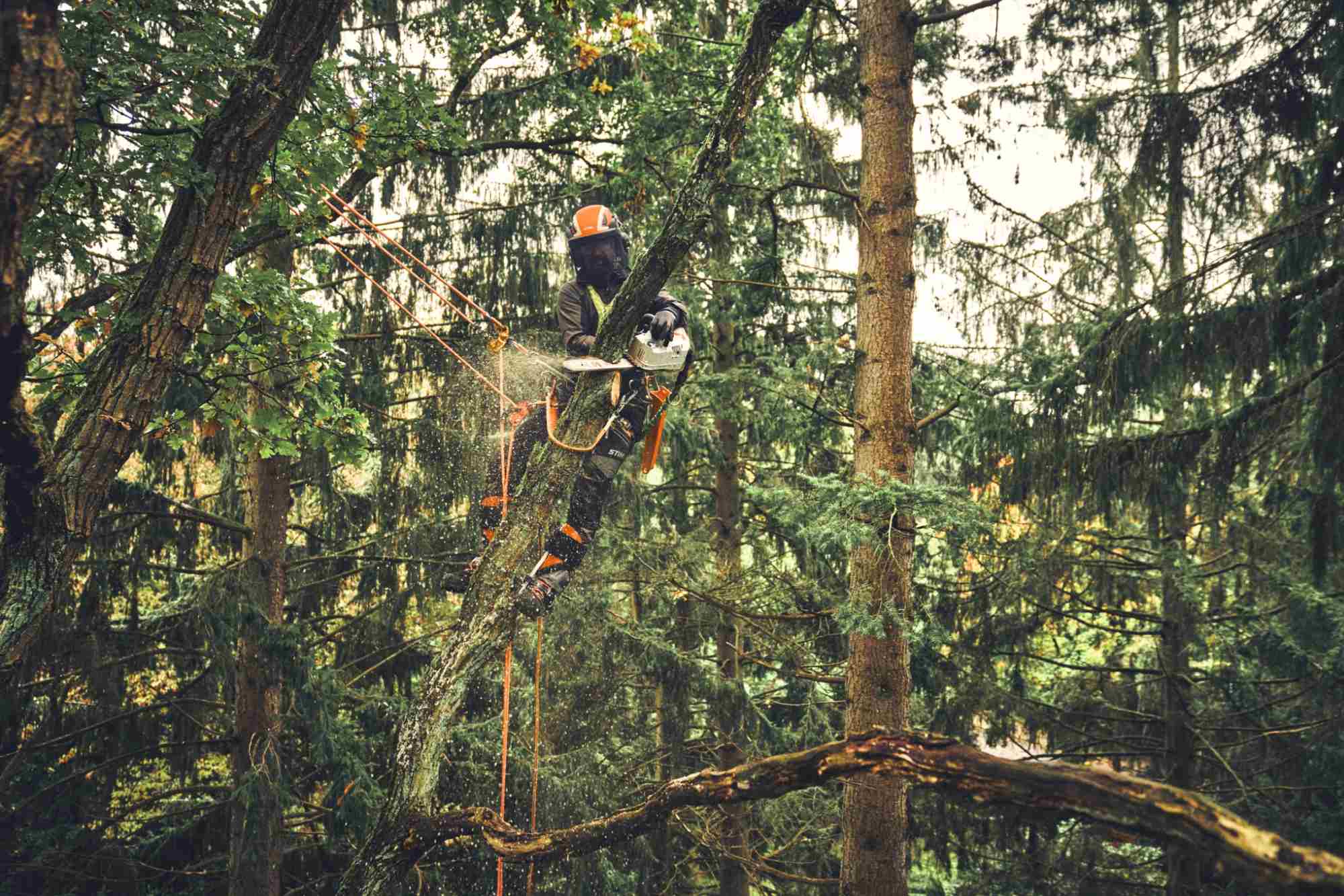 STIHL Akku-Baumpflegesäge MSA 220 T, 3/8", PS3 Pro, Schienenlänge 30 cm