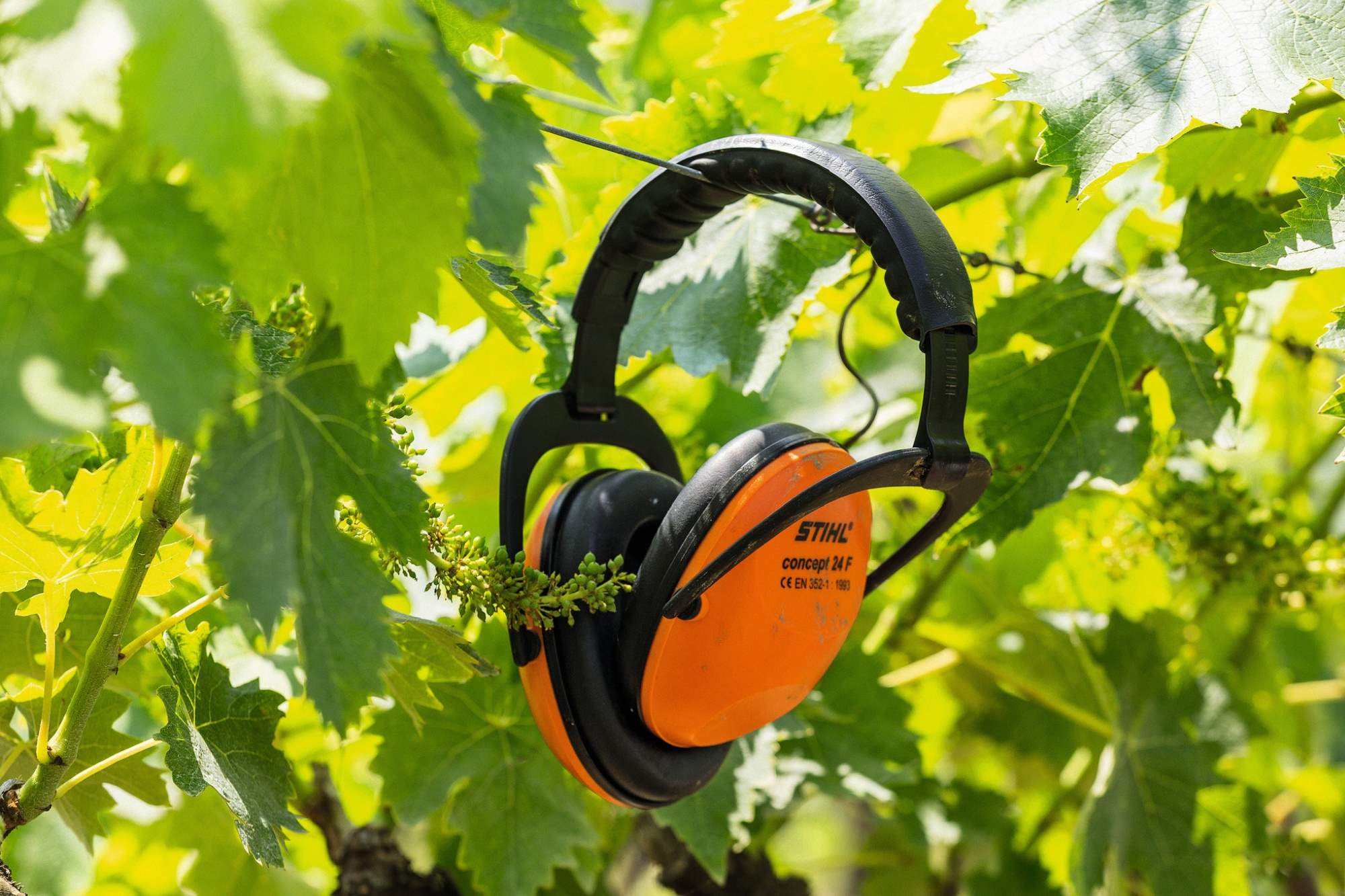 STIHL  Concept-24F, Gehörschutzbügel