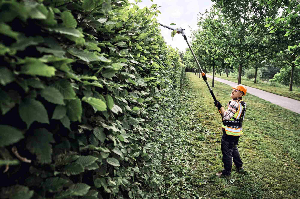 STIHL Akku-Heckenschneider HLA 150 B, Schnittlänge 60 cm