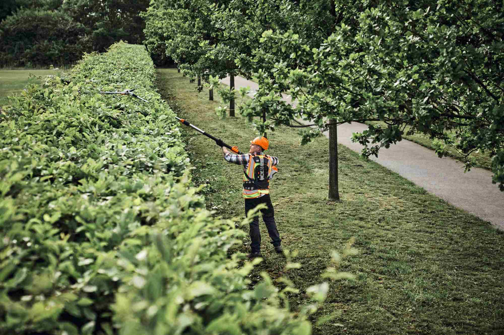 STIHL Akku-Heckenschneider HLA 150 B, Schnittlänge 60 cm
