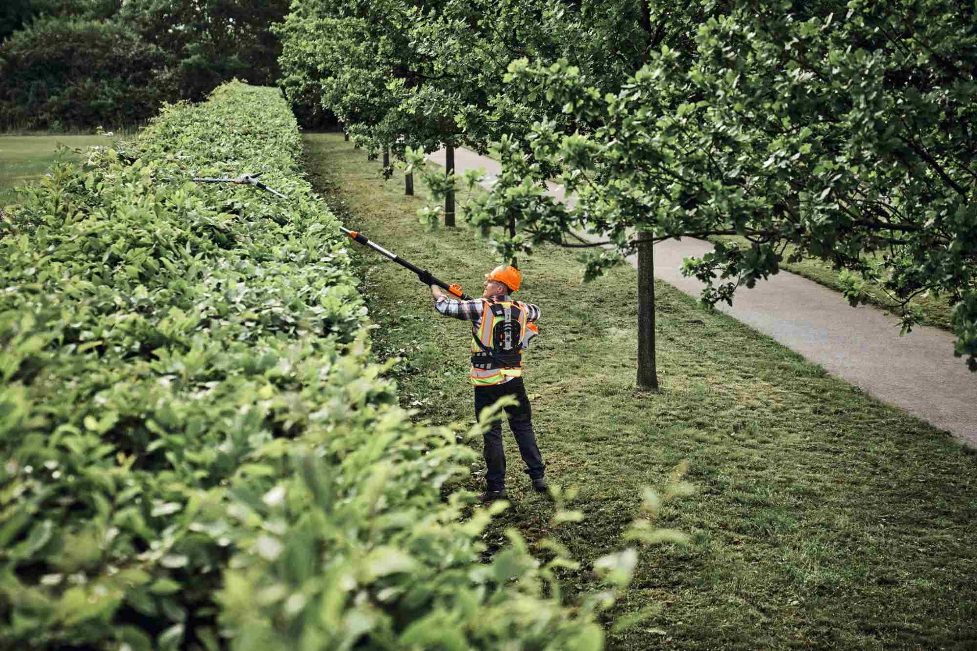 STIHL Akku-Heckenschneider HLA 150 B, Schnittlänge 60 cm