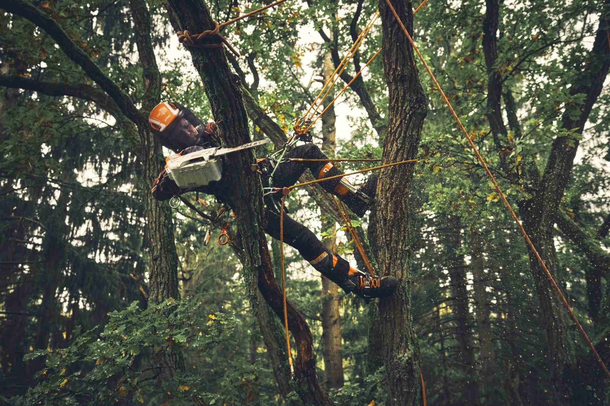 STIHL Akku-Baumpflegesäge MSA 190 T, PM3, Schienenlänge 30 cm