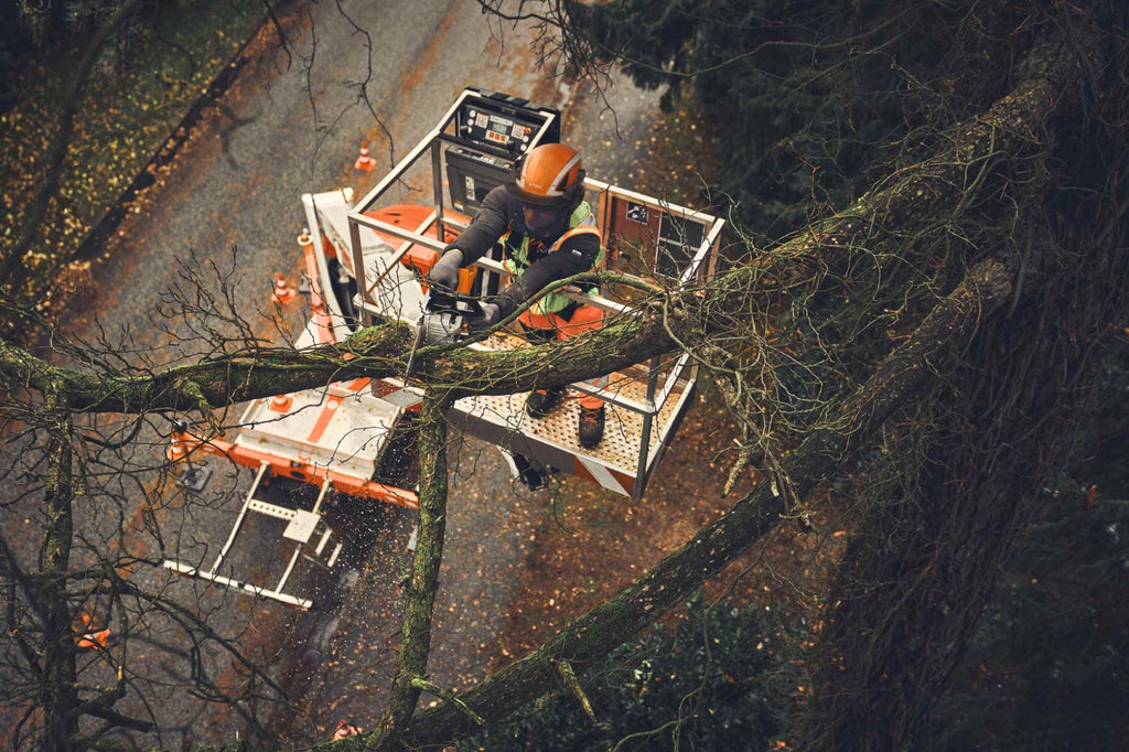 STIHL Akku-Baumpflegesäge MSA 190 T, PM3, Schienenlänge 30 cm