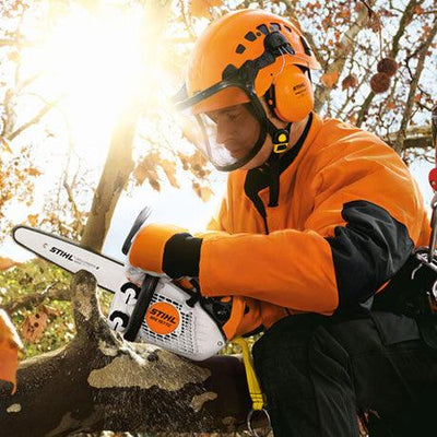 STIHL Baumpflegesäge MS 151 TC-E, PM3, Schienenlänge 30cm - Modell 2023 - MotorLand.at