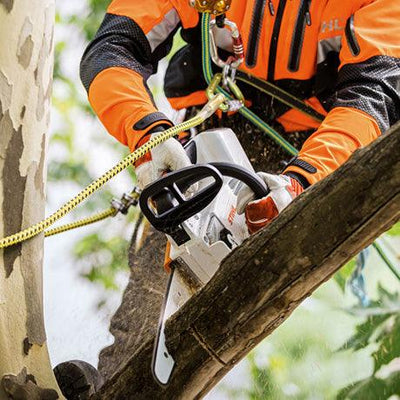 STIHL Akku-Baumpflegesäge MSA 161 T, Schienenlänge 30cm ohne Akku und Ladegerät - Modell 2023 - MotorLand.at