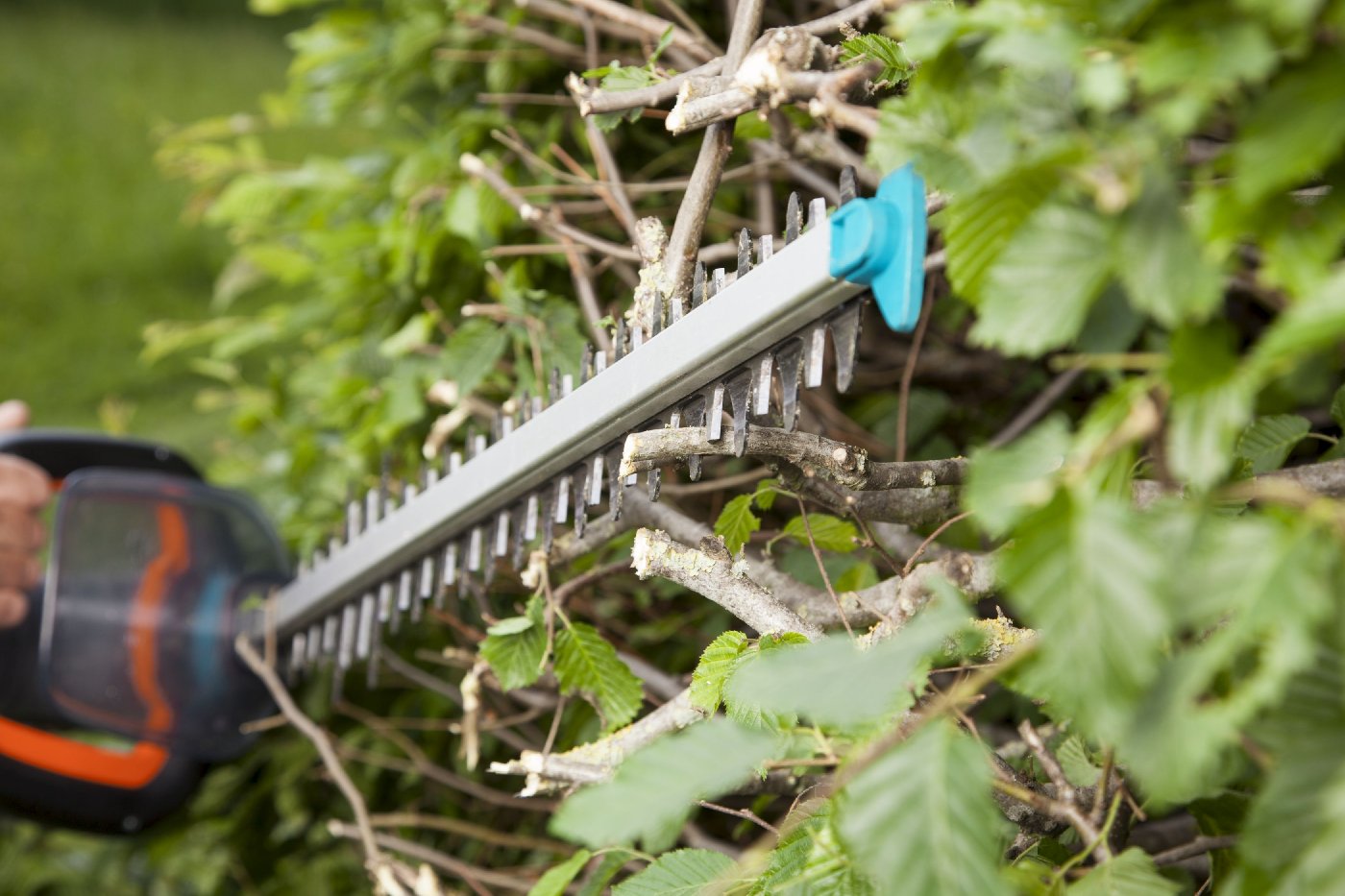 Gardena Elektro-Heckenschere PowerCut 700/65