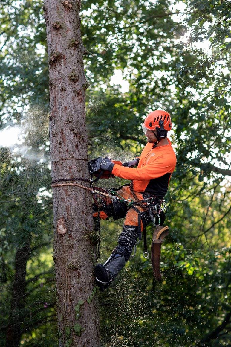 Husqvarna Profi Benzin Motorsäge 550 XP® Mark II (15")