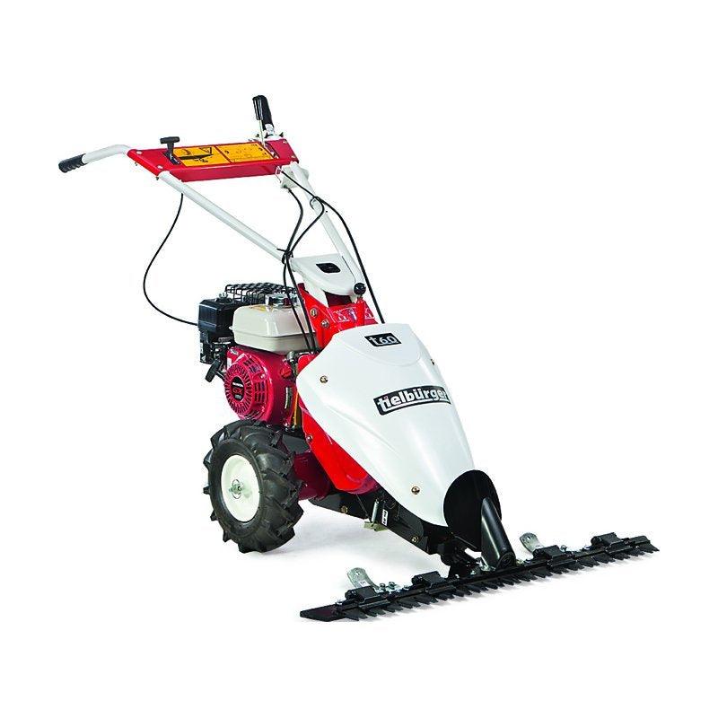 Tielbürger Balkenmäher t60 Briggs&Stratton Intek - Modell 2023 - MotorLand.at
