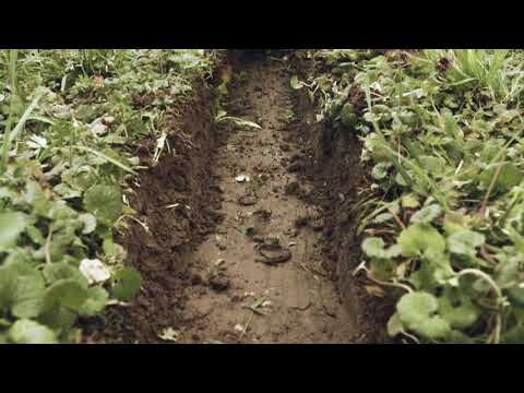 https://www.youtube.com/embed/_VwzHqO0KJQ?rel=0