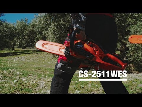 https://youtu.be/QnCb4ASFDY4?rel=0