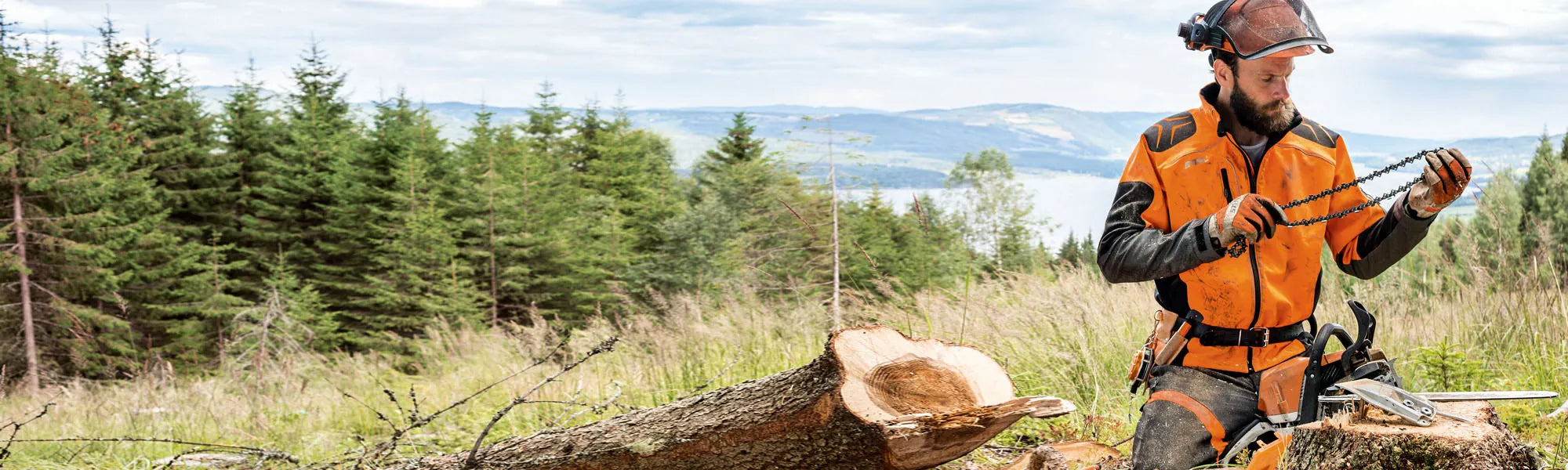 STIHL Sägeketten und Führungsschienen